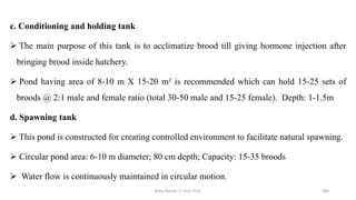 c. Conditioning and holding tank
➢ The main purpose of this tank is to acclimatize brood till giving hormone injection after
bringing brood inside hatchery.
➢ Pond having area of 8-10 m X 15-20 m² is recommended which can hold 15-25 sets of
broods @ 2:1 male and female ratio (total 30-50 male and 15-25 female). Depth: 1-1.5m
d. Spawning tank
➢ This pond is constructed for creating controlled environment to facilitate natural spawning.
➢ Circular pond area: 6-10 m diameter; 80 cm depth; Capacity: 15-35 broods
➢ Water flow is continuously maintained in circular motion.
Boby Basnet || Asst. Prof. 286
 