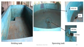 Holding tank Spawning tank
Boby Basnet || Asst. Prof. 287
 