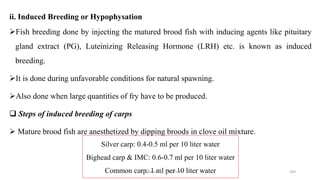 ii. Induced Breeding or Hypophysation
➢Fish breeding done by injecting the matured brood fish with inducing agents like pituitary
gland extract (PG), Luteinizing Releasing Hormone (LRH) etc. is known as induced
breeding.
➢It is done during unfavorable conditions for natural spawning.
➢Also done when large quantities of fry have to be produced.
❑ Steps of induced breeding of carps
➢ Mature brood fish are anesthetized by dipping broods in clove oil mixture.
Silver carp: 0.4-0.5 ml per 10 liter water
Bighead carp & IMC: 0.6-0.7 ml per 10 liter water
Common carp: 1 ml per 10 liter water
Boby Basnet || Asst. Prof. 293
 