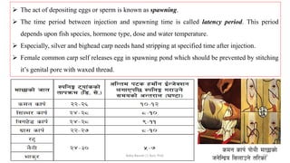 ➢ The act of depositing eggs or sperm is known as spawning.
➢ The time period between injection and spawning time is called latency period. This period
depends upon fish species, hormone type, dose and water temperature.
➢ Especially, silver and bighead carp needs hand stripping at specified time after injection.
➢ Female common carp self releases egg in spawning pond which should be prevented by stitching
it’s genital pore with waxed thread.
Boby Basnet || Asst. Prof. 298
 