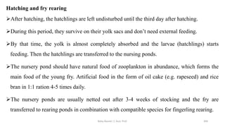 Hatching and fry rearing
➢After hatching, the hatchlings are left undisturbed until the third day after hatching.
➢During this period, they survive on their yolk sacs and don’t need external feeding.
➢By that time, the yolk is almost completely absorbed and the larvae (hatchlings) starts
feeding. Then the hatchlings are transferred to the nursing ponds.
➢The nursery pond should have natural food of zooplankton in abundance, which forms the
main food of the young fry. Artificial food in the form of oil cake (e.g. rapeseed) and rice
bran in 1:1 ration 4-5 times daily.
➢The nursery ponds are usually netted out after 3-4 weeks of stocking and the fry are
transferred to rearing ponds in combination with compatible species for fingerling rearing.
Boby Basnet || Asst. Prof. 304
 