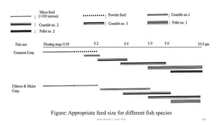 Figure: Appropriate feed size for different fish species
Boby Basnet || Asst. Prof. 306
 