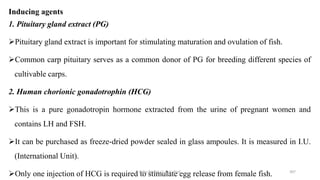 Inducing agents
1. Pituitary gland extract (PG)
➢Pituitary gland extract is important for stimulating maturation and ovulation of fish.
➢Common carp pituitary serves as a common donor of PG for breeding different species of
cultivable carps.
2. Human chorionic gonadotrophin (HCG)
➢This is a pure gonadotropin hormone extracted from the urine of pregnant women and
contains LH and FSH.
➢It can be purchased as freeze-dried powder sealed in glass ampoules. It is measured in I.U.
(International Unit).
➢Only one injection of HCG is required to stimulate egg release from female fish.
Boby Basnet || Asst. Prof. 307
 