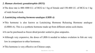 2. Human chorionic gonadotrophin (HCG)
➢The dose rate is 400-1000 I.U. of HCG to 1 kg of female and 150-400 I.U. of HCG to 1 kg
of male brood stock.
3. Luteinizing releasing hormone-analogue (LRH-A)
➢This hormone is also known as Luteinizing Hormone Releasing Hormone analogue
(LHRH-A). This is a synthetic hormone made up from different amino acid chains.
➢It can be purchased as freeze dried powder sealed in glass ampoules.
➢Although very expensive, the doses of LRH-A needed to induce ovulation in fish are very
low in comparison to other hormones.
➢This hormone is very effective on Chinese carps.
Boby Basnet || Asst. Prof. 308
 