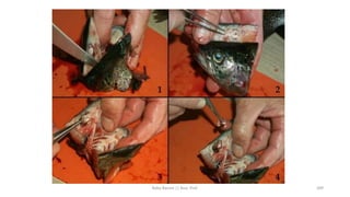 Boby Basnet || Asst. Prof. 309
 