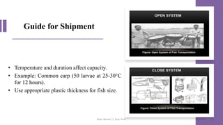 Guide for Shipment
• Temperature and duration affect capacity.
• Example: Common carp (50 larvae at 25-30°C
for 12 hours).
• Use appropriate plastic thickness for fish size.
Boby Basnet || Asst. Prof. 314
 