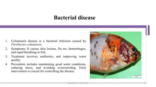 Bacterial disease
1. Columnaris disease is a bacterial infection caused by
Flexibacter columnaris.
2. Symptoms: It causes skin lesions, fin rot, hemorrhages,
and rapid breathing in fish.
3. Treatment involves antibiotics and improving water
quality.
4. Prevention includes maintaining good water conditions,
reducing stress, and avoiding overcrowding. Early
intervention is crucial for controlling the disease.
Boby Basnet || Asst. Prof. 317
 
