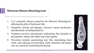 Metazoan Disease-Dactylogyrosis
1. It is a parasitic disease caused by the flatworm Dactylogyrus,
affecting the gills of freshwater fish.
2. Symptoms include gill damage, excessive mucus production,
and abnormal swimming behavior.
3. Treatment involves anti-parasitic medications like formalin or
praziquantel, along with improving water quality.
4. Prevention includes quarantining new fish, maintaining clean
water, and reducing overcrowding. Early treatment and proper
care are crucial for controlling the disease.
Boby Basnet || Asst. Prof. 320
 