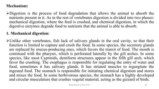 Mechanism:
➢Digestion is the process of food degradation that allows the animal to absorb the
nutrients present in it. As in the rest of vertebrates digestion is divided into two phases:
mechanical digestion, where the feed is crushed, and chemical digestion, in which the
digestive enzymes degrade food to nutrients that the animal is able to absorb.
1. Mechanical digestion:
➢Unlike other vertebrates, fish lack of salivary glands in the oral cavity, so that their
function is limited to capture and crush the food. In some species, the secretory glands
are replaced by mucus-producing ones, which favors the transit of food. The mouth is
continued with the pharynx, which is perforated laterally by the gill arches. In some
species, like most Cyprinids, dentiform structures appear in the fifth gill arch, which
favor the crushing. The esophagus is responsible for regulating the entry of water and
food, sometimes it has salivary glands. It has striated muscles to regurgitate the
ingested food. The stomach is responsible for initiating chemical digestion and stores
and mixes the food. In some herbivorous species, the stomach has a highly developed
and circular musculature that crushes vegetal material, acting as the gizzard of birds.
Boby Basnet || Asst. Prof. 34
 