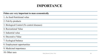 IMPORTANCE
Fishes are very important to man economically
1. As food-Nutritional value
2. Fish by-products
3. Biological Control (To control diseases)
4. Recreational Value
5. Industrial value
6. Decorative Value
7. Ecological balance
8. Employment opportunities
9. Medicinal importance
10. Other uses Boby Basnet || Asst. Prof. 38
 