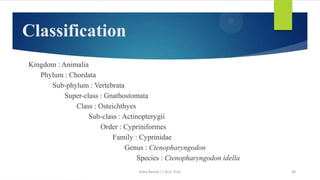 Boby Basnet || Asst. Prof. 48
 