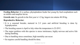 Feeding Behavior: It is surface, phytoplankton feeder but young fry feed zooplankton such
as rotifers and nauplius larvae.
Growth rate: Its growth in the first year is 1-2 kg, largest size attains 40-50 kg.
Reproductive Behavior:
• It is a seasonal breeder, matured in 2-3 years and artificial breeding is done by
hypophysation.
• The breeding season is April to July when the temperature is 22-28°C.
• The major problem with this species is stress intolerance, highly nervous and active fish
during handling.
• Due to handling stress sometimes, high mortality can occur.
• So requires careful handling should be done.
Boby Basnet || Asst. Prof. 58
 