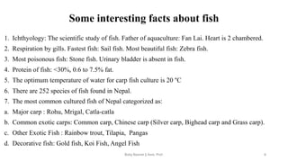 Some interesting facts about fish
1. Ichthyology: The scientific study of fish. Father of aquaculture: Fan Lai. Heart is 2 chambered.
2. Respiration by gills. Fastest fish: Sail fish. Most beautiful fish: Zebra fish.
3. Most poisonous fish: Stone fish. Urinary bladder is absent in fish.
4. Protein of fish: <30%, 0.6 to 7.5% fat.
5. The optimum temperature of water for carp fish culture is 20 °C
6. There are 252 species of fish found in Nepal.
7. The most common cultured fish of Nepal categorized as:
a. Major carp : Rohu, Mrigal, Catla-catla
b. Common exotic carps: Common carp, Chinese carp (Silver carp, Bighead carp and Grass carp).
c. Other Exotic Fish : Rainbow trout, Tilapia, Pangas
d. Decorative fish: Gold fish, Koi Fish, Angel Fish
Boby Basnet || Asst. Prof. 6
 