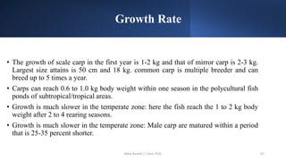 Growth Rate
• The growth of scale carp in the first year is 1-2 kg and that of mirror carp is 2-3 kg.
Largest size attains is 50 cm and 18 kg. common carp is multiple breeder and can
breed up to 5 times a year.
• Carps can reach 0.6 to 1.0 kg body weight within one season in the polycultural fish
ponds of subtropical/tropical areas.
• Growth is much slower in the temperate zone: here the fish reach the 1 to 2 kg body
weight after 2 to 4 rearing seasons.
• Growth is much slower in the temperate zone: Male carp are matured within a period
that is 25-35 percent shorter.
Boby Basnet || Asst. Prof. 67
 