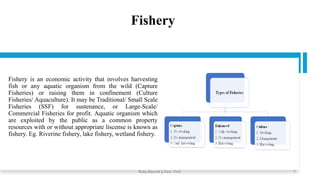 Fishery
Fishery is an economic activity that involves harvesting
fish or any aquatic organism from the wild (Capture
Fisheries) or raising them in confinement (Culture
Fisheries/ Aquaculture). It may be Traditional/ Small Scale
Fisheries (SSF) for sustenance, or Large-Scale/
Commercial Fisheries for profit. Aquatic organism which
are exploited by the public as a common property
resources with or without appropriate liscense is known as
fishery. Eg. Riverine fishery, lake fishery, wetland fishery.
Boby Basnet || Asst. Prof. 7
 