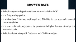 GROWTH RATE
• Rohu is eurythermal species and does not survive below 14°C.
• It is fast growing species.
• It attains about 35-45 cm total length and 700-800g in one year under normal
culture condition.
• It is observed that in polyculture, its growth rate is higher than that of mrigal but
lower than catla.
• Rohu is cultured along with Catla catla and Cirrhinus mrigala
Boby Basnet || Asst. Prof. 73
 