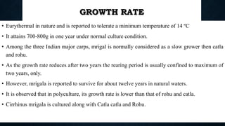 GROWTH RATE
• Eurythermal in nature and is reported to tolerate a minimum temperature of 14 ºC
• It attains 700-800g in one year under normal culture condition.
• Among the three Indian major carps, mrigal is normally considered as a slow grower then catla
and rohu.
• As the growth rate reduces after two years the rearing period is usually confined to maximum of
two years, only.
• However, mrigala is reported to survive for about twelve years in natural waters.
• It is observed that in polyculture, its growth rate is lower than that of rohu and catla.
• Cirrhinus mrigala is cultured along with Catla catla and Rohu.
Boby Basnet || Asst. Prof. 79
 