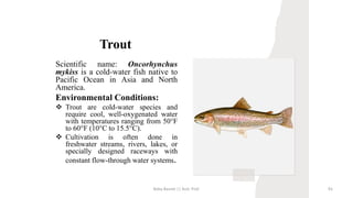 Trout
Scientific name: Oncorhynchus
mykiss is a cold-water fish native to
Pacific Ocean in Asia and North
America.
Environmental Conditions:
❖ Trout are cold-water species and
require cool, well-oxygenated water
with temperatures ranging from 50°F
to 60°F (10°C to 15.5°C).
❖ Cultivation is often done in
freshwater streams, rivers, lakes, or
specially designed raceways with
constant flow-through water systems.
Boby Basnet || Asst. Prof. 92
 