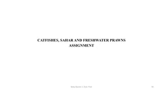 CATFISHES, SAHAR AND FRESHWATER PRAWNS
ASSIGNMENT
Boby Basnet || Asst. Prof. 95
 