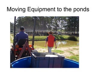 Moving Equipment to the ponds 