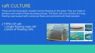 Comprehensive Guide to Aquaculture Methods and Conservation Practices ...