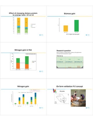 Practical Understanding of Aquafeed Formulation