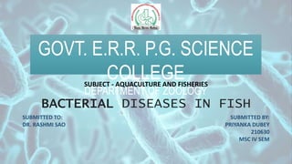 GOVT. E.R.R. P.G. SCIENCE
COLLEGE
DEPARTMENT OF ZOOLOGY
BACTERIAL DISEASES IN FISH
SUBMITTED TO:
DR. RASHMI SAO
SUBMITTED BY:
PRIYANKA DUBEY
210630
MSC IV SEM
SUBJECT - AQUACULTURE AND FISHERIES
 