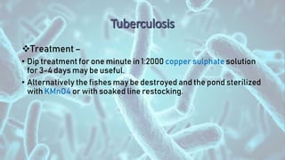 Treatment –
• Dip treatment for one minute in 1:2000 copper sulphate solution
for 3-4 days may be useful.
• Alternatively the fishes may be destroyed and the pond sterilized
with KMnO4 or with soaked line restocking.
 