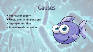 • Poor water quality
• Fluctuation in temperature
• Improper nutrition
• Access waste deposition
 