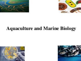 Aquaculture and Marine Biology
 