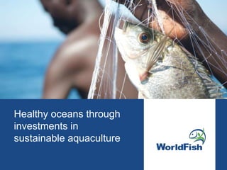 Healthy oceans through
investments in
sustainable aquaculture
 