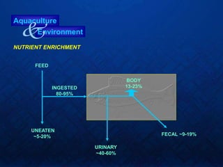 Aquaculture
Environment
k
FEED
NUTRIENT ENRICHMENT
UNEATEN
~5-20%
INGESTED
80-95%
BODY
13-23%
FECAL ~9-19%
URINARY
~40-60%
 