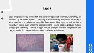 Aquaculture basics module 3 reproduction | PDF