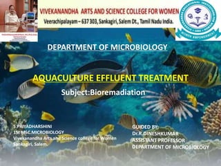 DEPARTMENT OF MICROBIOLOGY
AQUACULTURE EFFLUENT TREATMENT
Subject:Bioremadiation
S.PRIYADHARSHINI
1St MSC.MICROBIOLOGY
Vivekanandha Arts and Science college for Women
Sankagiri, Salem.
 