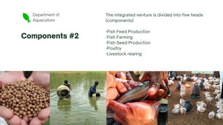 Department of
Aquaculture
Components #2
The integrated venture is divided into five heads
(components)
-Fish Feed Production
-Fish Farming
-Fish Seed Production
-Poultry
-Livestock rearing
 