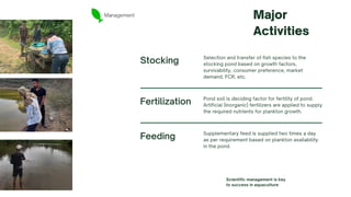Management Major
Activities
Stocking Selection and transfer of fish species to the
stocking pond based on growth factors,
survivability, consumer preference, market
demand, FCR, etc.
Fertilization Pond soil is deciding factor for fertility of pond.
Artificial (Inorganic) fertilizers are applied to supply
the required nutrients for plankton growth.
Feeding Supplementary feed is supplied two times a day
as per requirement based on plankton availability
in the pond.
Scientific management is key
to success in aquaculture
 