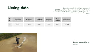 S.
No.
Ingredients ELP Pond 1 ELP Pond 2 Frequency
Total
Quantity
Total Amount
1 Liming 45 kg 48 kg 01 96 kg Rs. 1479
Liming data Quantitative data of liming. It is applied
@1,000kg/ha/year (based on soil pH) out of which,
basal dose of 15- 25% is applied, i.e., 200 kg/ha at a
time
Liming expenditure
Rs. 1479
 