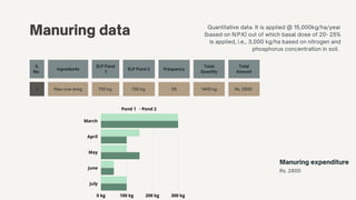 Manuring data Quantitative data. It is applied @ 15,000kg/ha/year
(based on N:P:K) out of which basal dose of 20- 25%
is applied, i.e., 3,000 kg/ha based on nitrogen and
phosphorus concentration in soil.
S.
No.
Ingredients
ELP Pond
1
ELP Pond 2 Frequency
Total
Quantity
Total
Amount
1 Raw cow dung 700 kg 700 kg 05 1400 kg Rs. 2800
Manuring expenditure
Rs. 2800
Pond 1 Pond 2
0 kg 100 kg 200 kg 300 kg
March
April
May
June
July
 