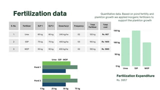 Fertilization data Quantitative data. Based on pond fertility and
plankton growth we applied inorganic fertilizers to
support the plankton growth
Fertilization Expenditure
Rs. 3957
S. No. Fertilizer ELP 1 ELP 2 Dose/ha/yr Frequency
Total
Fertilizer
Total
cost
1 Urea 60 kg 60 kg 240 kg/ha 02 120 kg Rs. 667
2 SSP 75 kg 75 kg 400 kg/ha 03 150 kg Rs. 1400
3 MOP 50 kg 50 kg 400 kg/ha 02 100 kg Rs. 1890
Urea SSP MOP
150 kg
100 kg
50 kg
0 kg
Urea SSP MOP
0 kg 25 kg 50 kg 75 kg
Pond 1
Pond 2
 