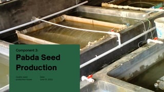 Pabda Seed
Production
Component 3:
Quality seed
production house
Date:
June 01, 2022
 