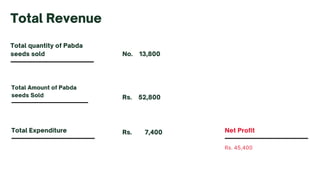 Total quantity of Pabda
seeds sold
Total Amount of Pabda
seeds Sold
Total Expenditure
Rs. 45,400
Net Profit
Total Revenue
No. 13,800
Rs. 52,800
Rs. 7,400
 