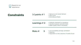Constraints
Risks # 3 Low survivability and high cannibalism
Seasonal
Dependent on wild collection of tubifex (food)
(+) points # 1 High price and market demand
Short cycle
Extremely profitable
Learnings # 2 Antibiotic treatment for myxobolus
Sensitive towards cemented tanks
Water quality check is necessary
End
Based on our
experience
 