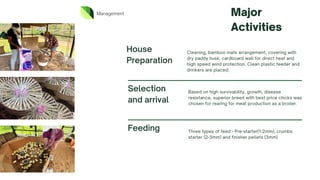 Management Major
Activities
House
Preparation
Cleaning, bamboo mats arrangement, covering with
dry paddy husk, cardboard wall for direct heat and
high speed wind protection. Clean plastic feeder and
drinkers are placed.
Selection
and arrival
Based on high survivability, growth, disease
resistance, superior breed with best price chicks was
chosen for rearing for meat production as a broiler.
Feeding Three types of feed - Pre-starter(1-2mm), crumbs
starter (2-3mm) and finisher pellets (3mm)
 
