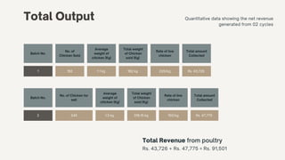 Total Output Quantitative data showing the net revenue
generated from 02 cycles
Batch No.
No. of
Chicken Sold
Average
weight of
chicken (Kg)
Total weight
of Chicken
sold (Kg)
Rate of live
chicken
Total amount
Collected
1 182 1.1 kg 182 kg 220/kg Rs. 43,726
Total Revenue from poultry
Rs. 43,726 + Rs. 47,775 = Rs. 91,501
Batch No.
No. of Chicken for
sell
Average
weight of
chicken (Kg)
Total weight
of Chicken
sold (Kg)
Rate of live
chicken
Total amount
Collected
2 245 1.3 kg 318.15 kg 150/kg Rs. 47,775
 