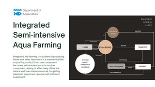 Department of
Aquaculture
Integrated
Semi-intensive
Aqua Farming
Integrated fish farming is a system of producing
fishes and other livestocks in a manner that the
output (by product) from one component
becomes valuable resource for another
component, aiming to effectively utilise the
natural and man-made resources for getting
maximum output and revenue with minimum
investment.
 