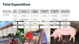 Rs. 40,980
Grand Total S. No. Particulars
Quantity
(No.)/Kg
Average weight
(Kg)
Cost per unit/kg
(Rs.)
Total Amount (Rs.)
1 Piglets 6 11 kg Rs. 5,000 Rs. 30,000
2 Feed (Pre starter) 45 kg - Rs. 40/kg Rs. 1,800
3 Rice Bran 540 kg - Rs. 17/kg Rs. 9,180
Total Rs.40,980
Total Expenditure
 