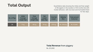 Total Output Quantitative data showing the initial and final weight
of 06 piglets in the duration of 05 months fed with
hostel leftovers with rice bran and formulated feed
for few days.
No. of Pigs
Initial
Average
weight (Kg)
Final
Average
weight (Kg)
Net
weight
Gain (Kg)
Total Net
weight
Rate/kg
(Rs.)
Total amount
Collected
06 11 kg 45 kg 34 kg 270 kg Rs. 300/kg Rs. 81,000
Total Revenue from piggery
Rs. 81,000
 
