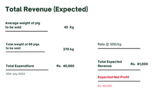 Average weight of pig
to be sold
Total Revenue (Expected)
Total weight of 06 pigs
to be sold
45 Kg
Total Expenditure
270 kg
Total Expected
Revenue
Rate @ 300/kg
Rs. 40,020
Expected Net Profit
30th July 2022
Rs. 81,000
Rs. 40,980
 