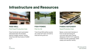 Infrastructure and Resources
Fish Feed Production Hub
FEED MILL
Fully functional semi-automated
mild steel feed mill situated
behind college campus, having
total floor (02 floor) area of 6,000
sq. ft.
Seed Prodution Hub
PABDA HATCHERY
Newly constructed hatchery in
front of wet lab having 07
concrete tanks each having
dimension 10×10×1.5 ft. (capacity
4,200 ltrs) with systematic water
supply and aeration facility
Fish for All
FISH PONDS
Total three (03) earthen ponds
are under ELP. Each of 0.25 ha
area and are grow-out.
For
Production
We have got the
best facilities
 