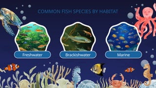 COMMON FISH SPECIES BY HABITAT
Freshwater Marine
Brackishwater
 